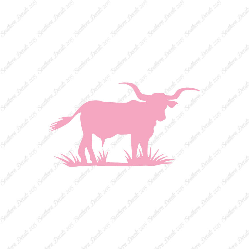 Longhorn Cattle Bull