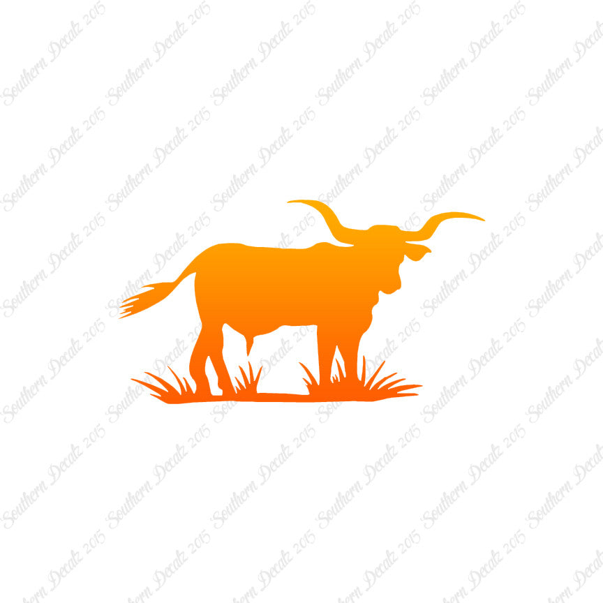 Longhorn Cattle Bull