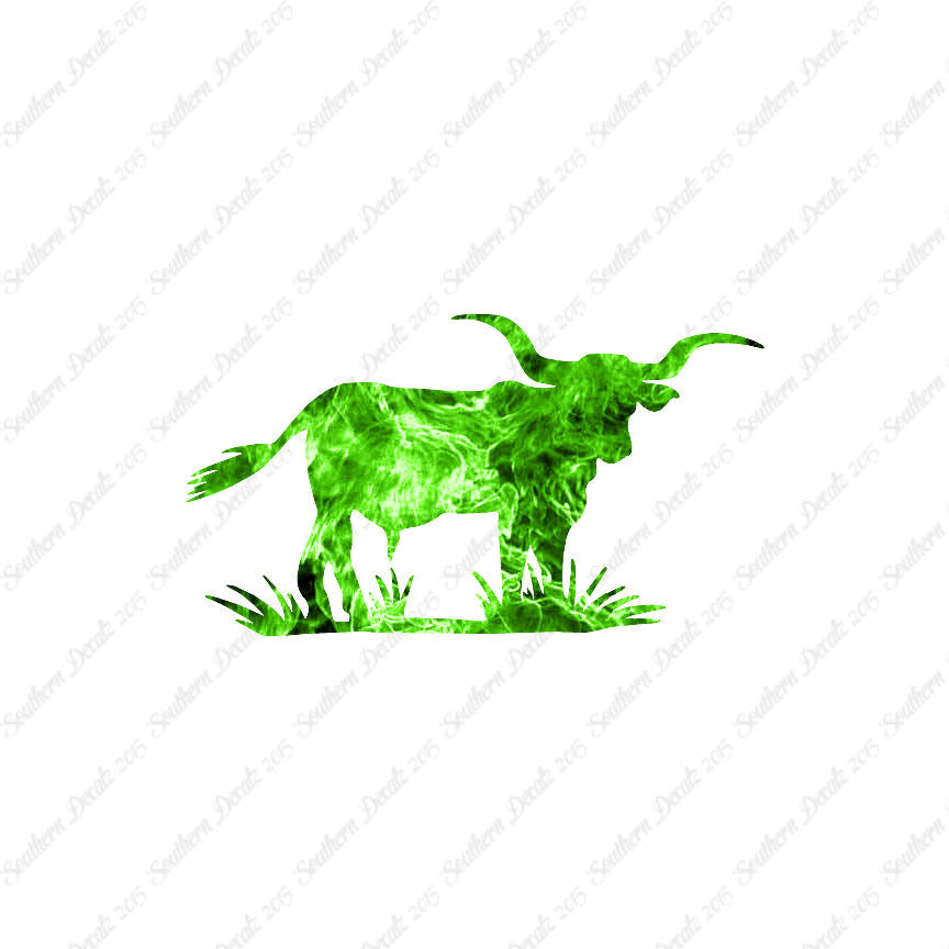 Longhorn Cattle Bull