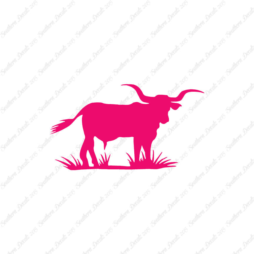 Longhorn Cattle Bull