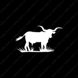 Longhorn Cattle Bull