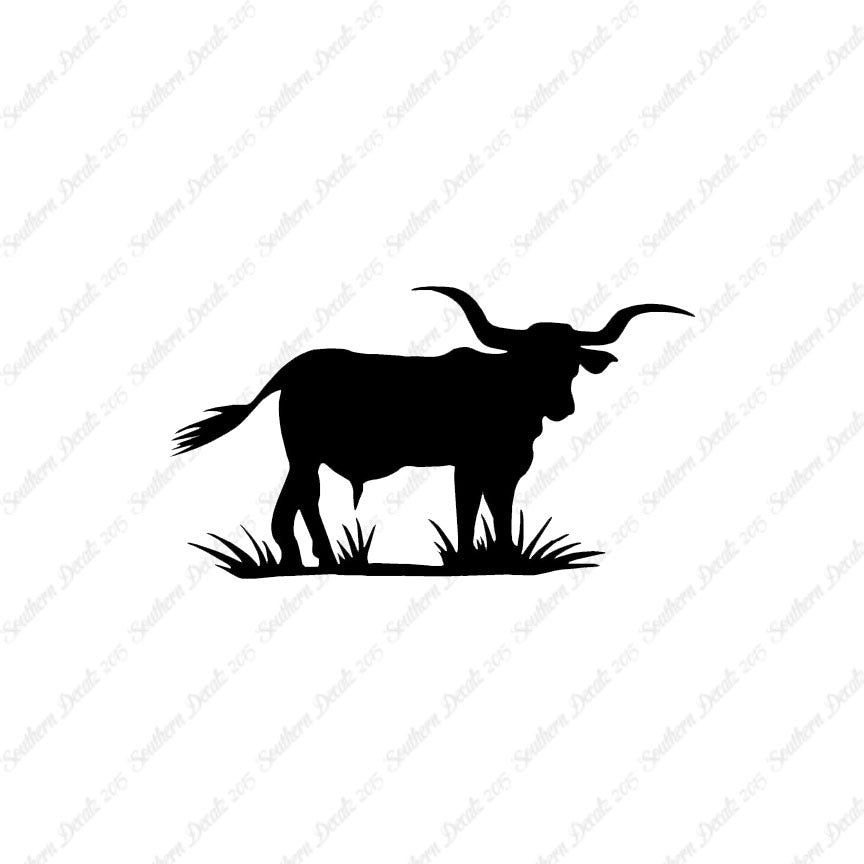 Longhorn Cattle Bull