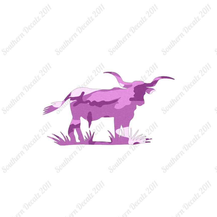 Longhorn Cattle Bull