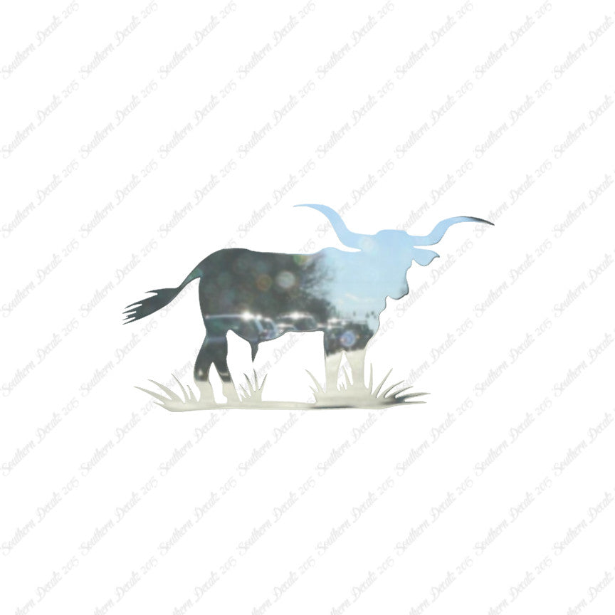 Longhorn Cattle Bull
