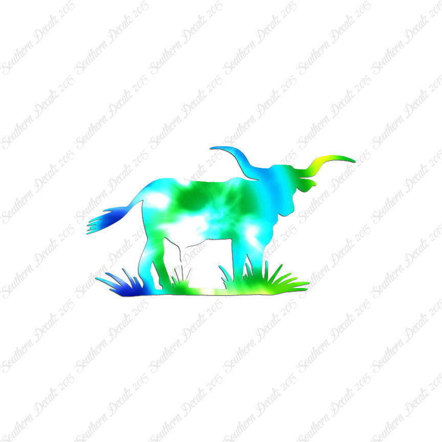 Longhorn Cattle Bull