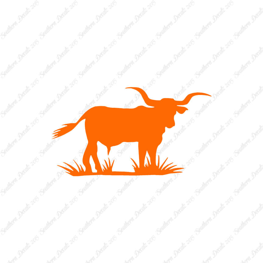 Longhorn Cattle Bull
