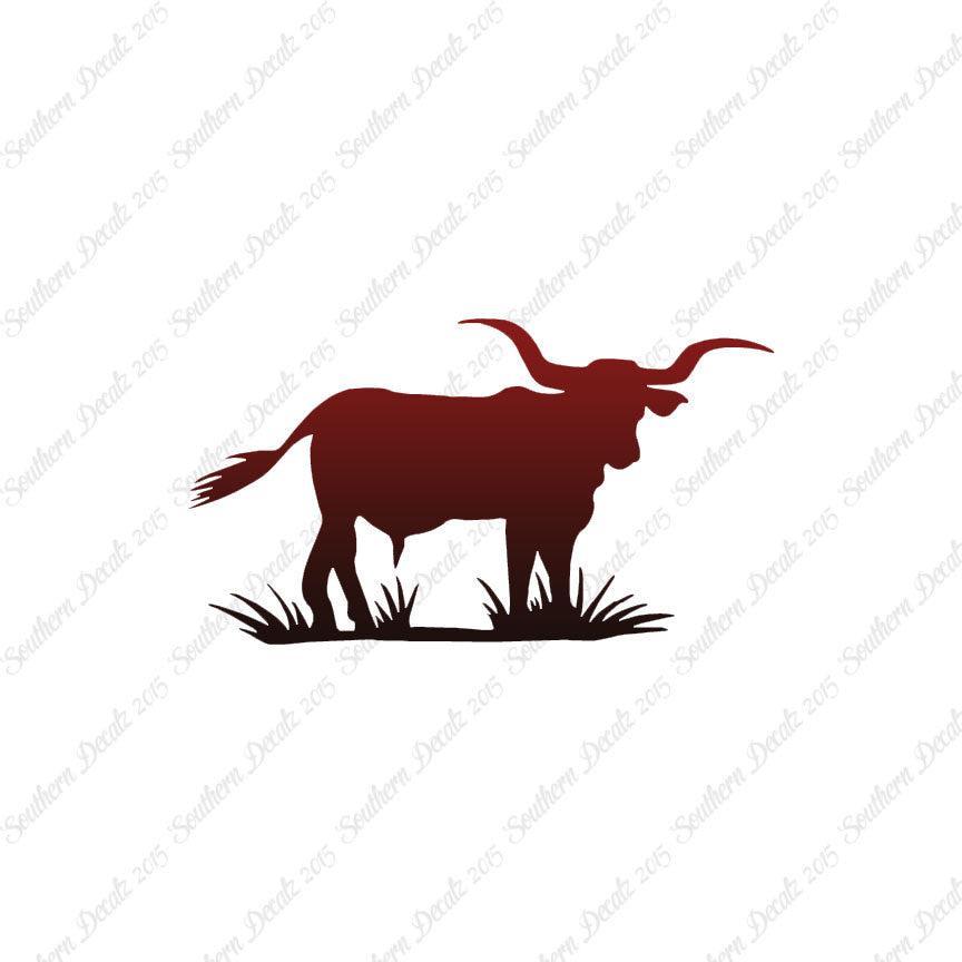 Longhorn Cattle Bull