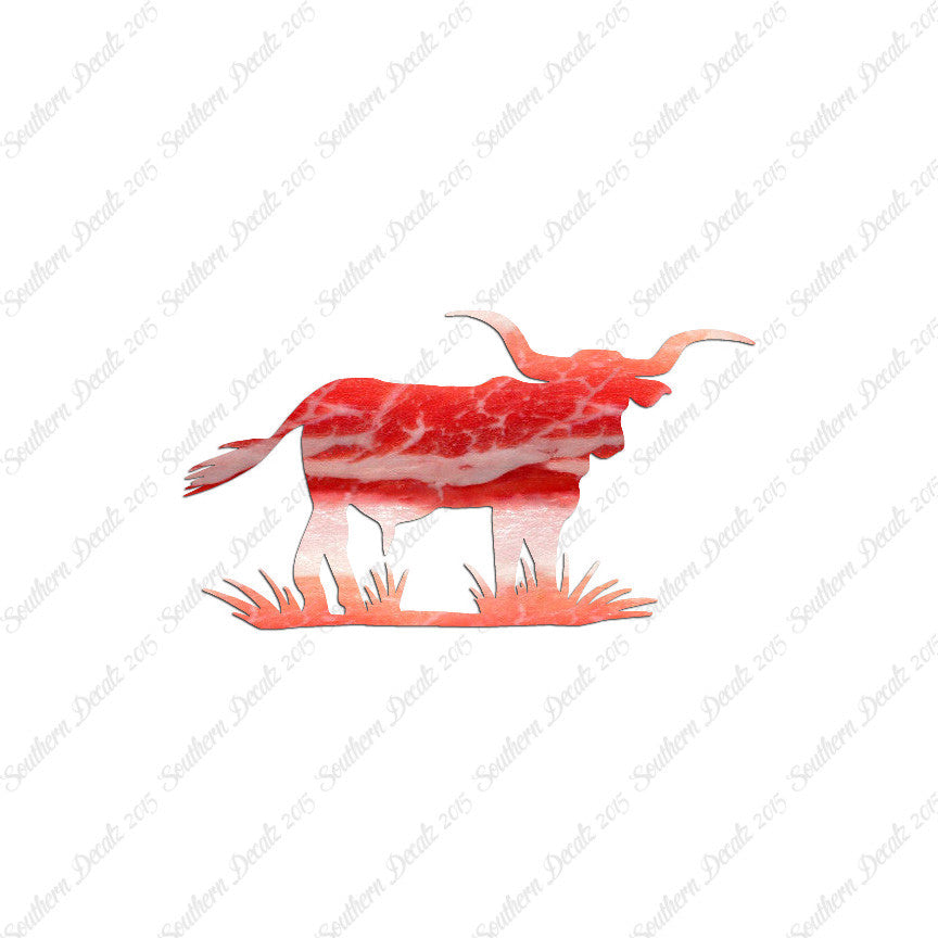 Longhorn Cattle Bull
