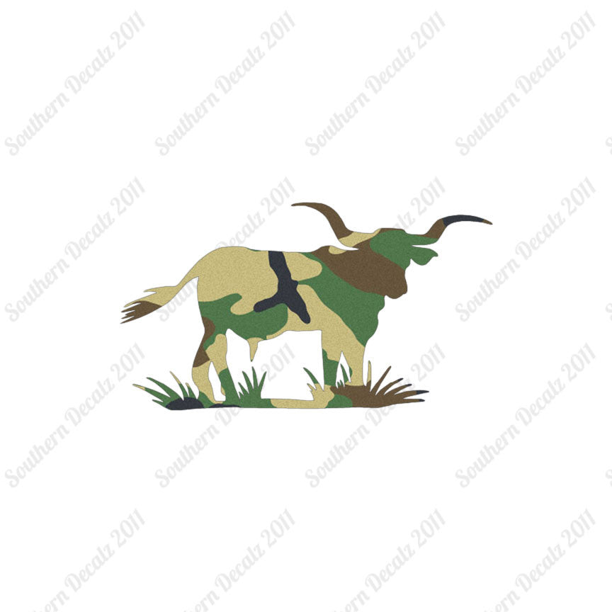Longhorn Cattle Bull