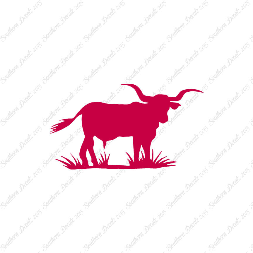 Longhorn Cattle Bull