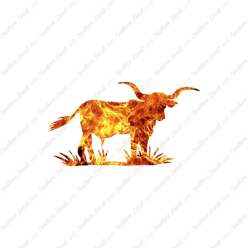 Longhorn Cattle Bull