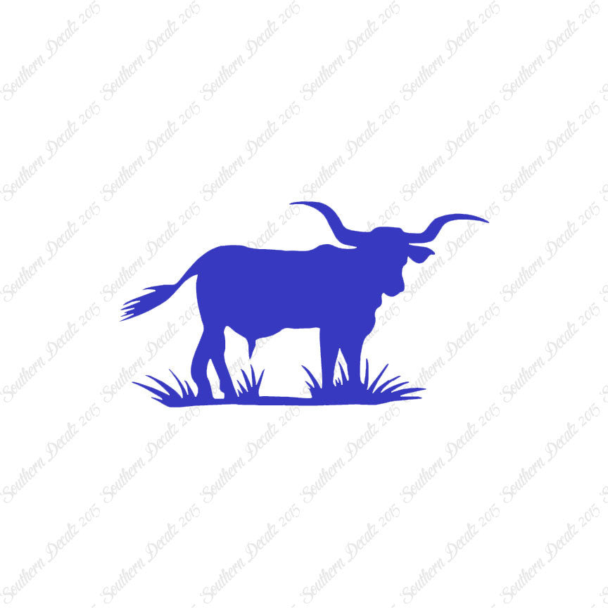 Longhorn Cattle Bull