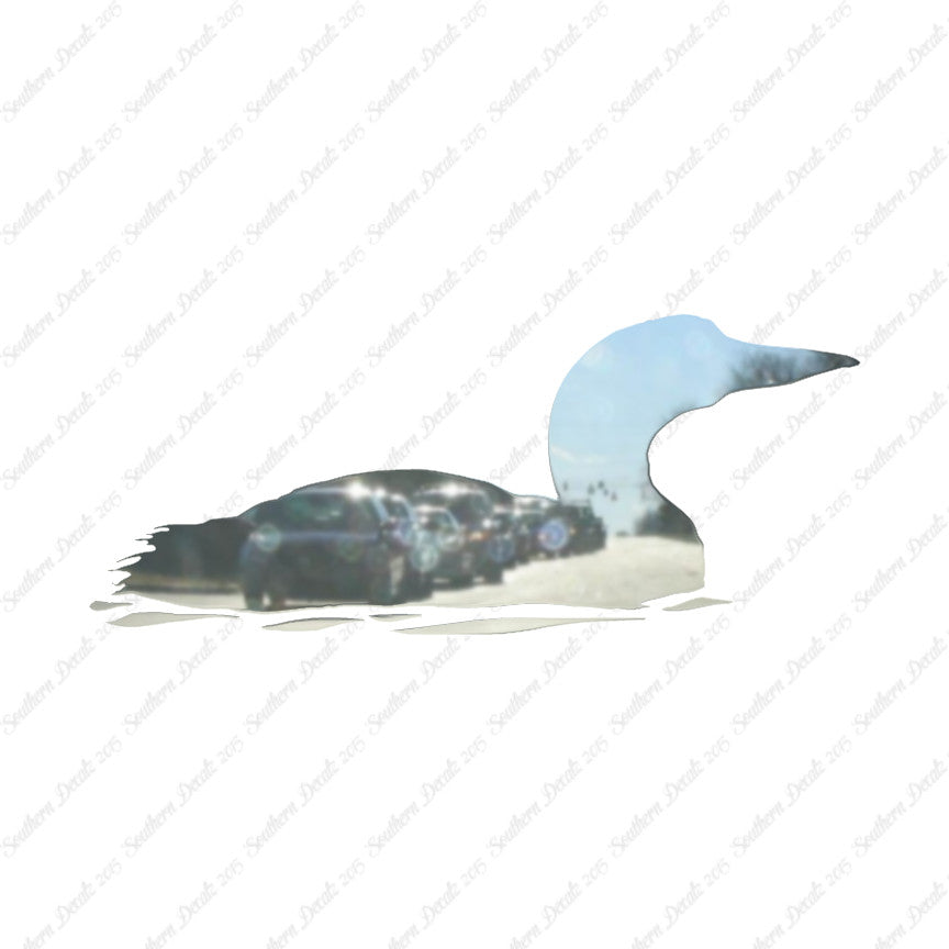 Loon Duck Goose