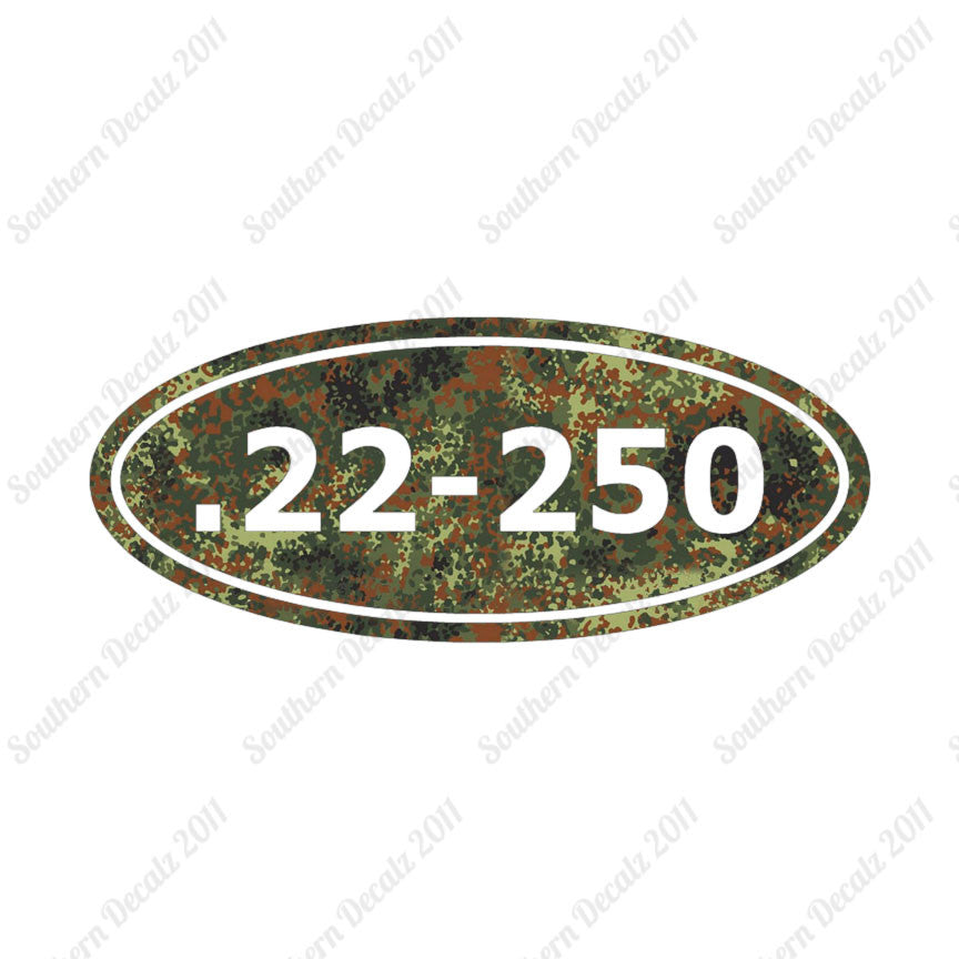 Ammo 22-250 Rifle