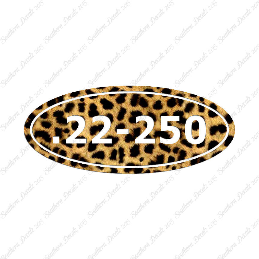 Ammo 22-250 Rifle