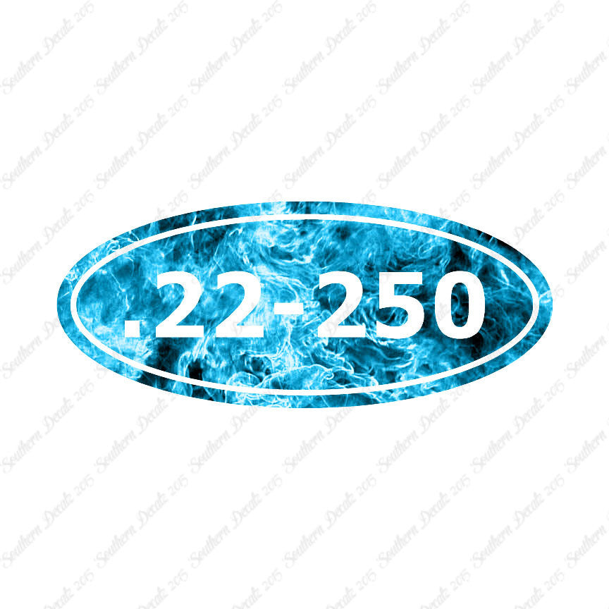 Ammo 22-250 Rifle
