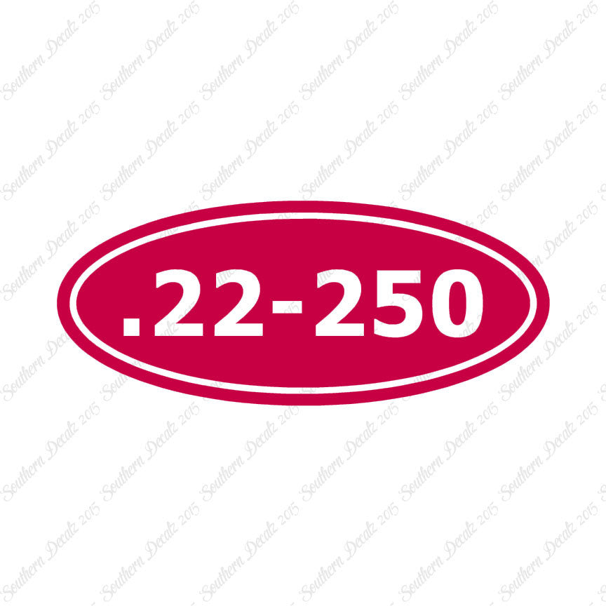 Ammo 22-250 Rifle