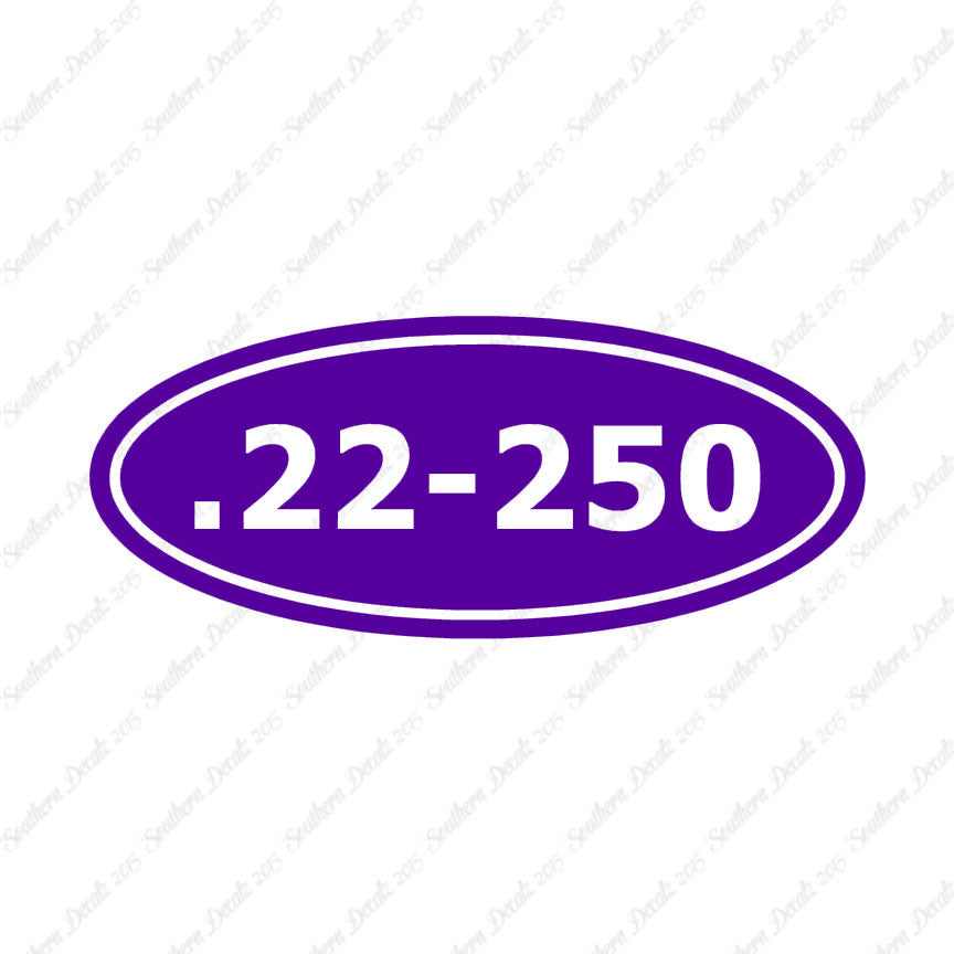 Ammo 22-250 Rifle
