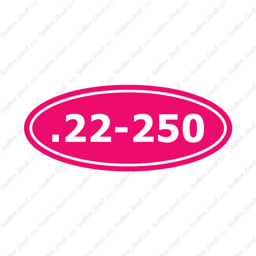 Ammo 22-250 Rifle