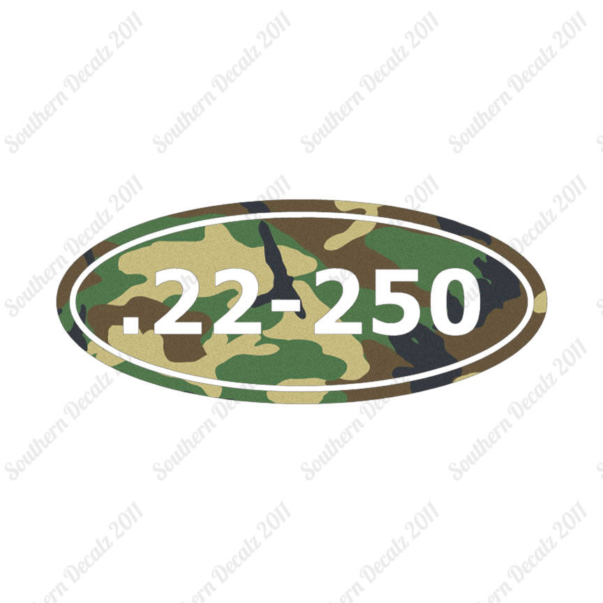 Ammo 22-250 Rifle