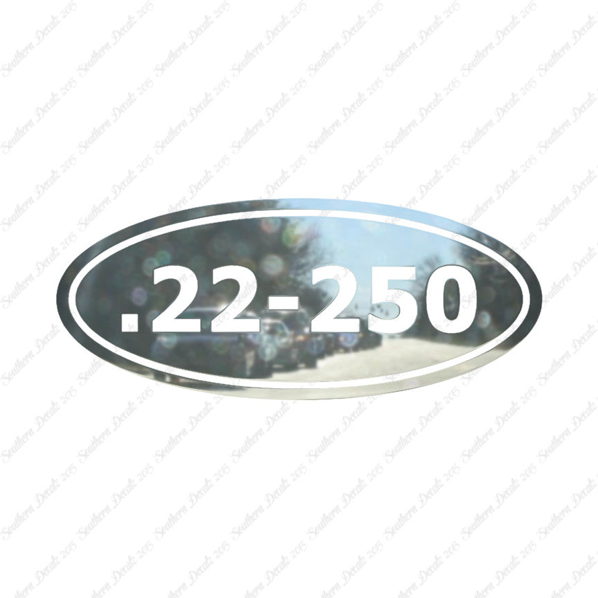 Ammo 22-250 Rifle