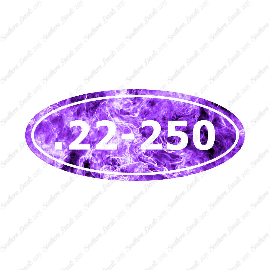 Ammo 22-250 Rifle