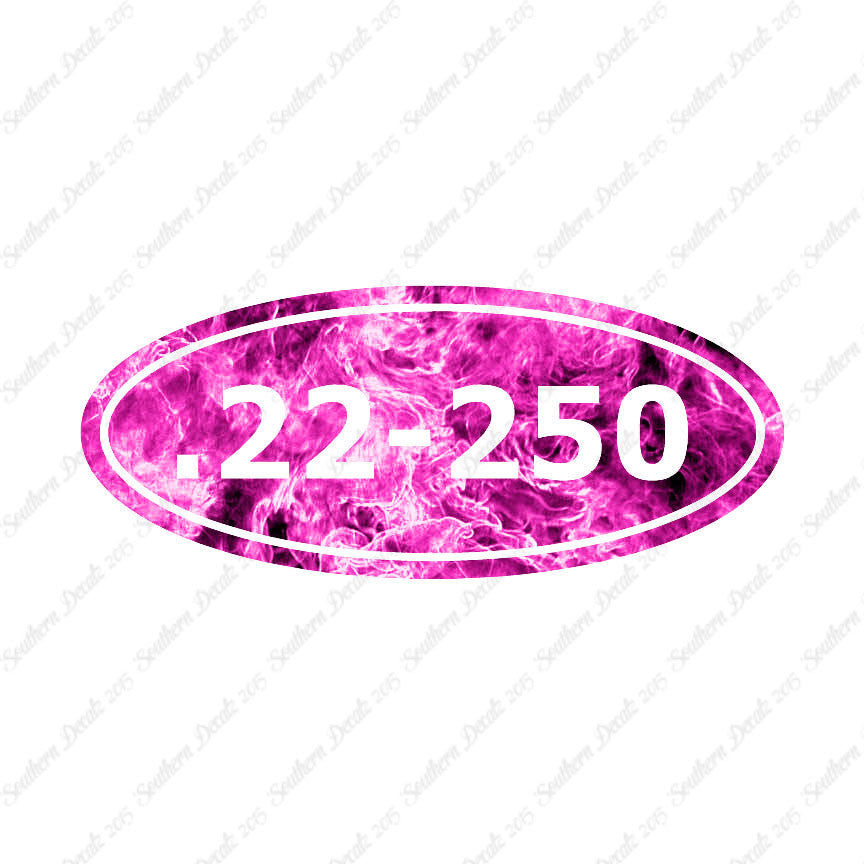 Ammo 22-250 Rifle