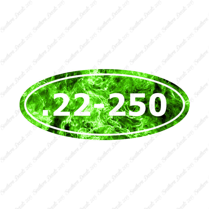 Ammo 22-250 Rifle