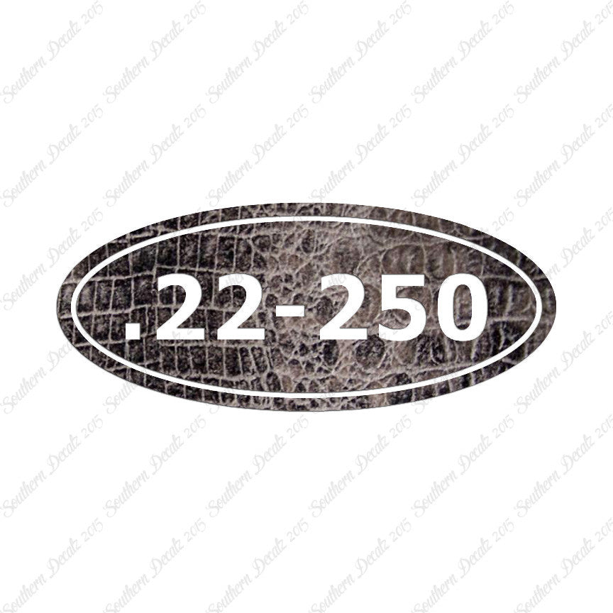 Ammo 22-250 Rifle