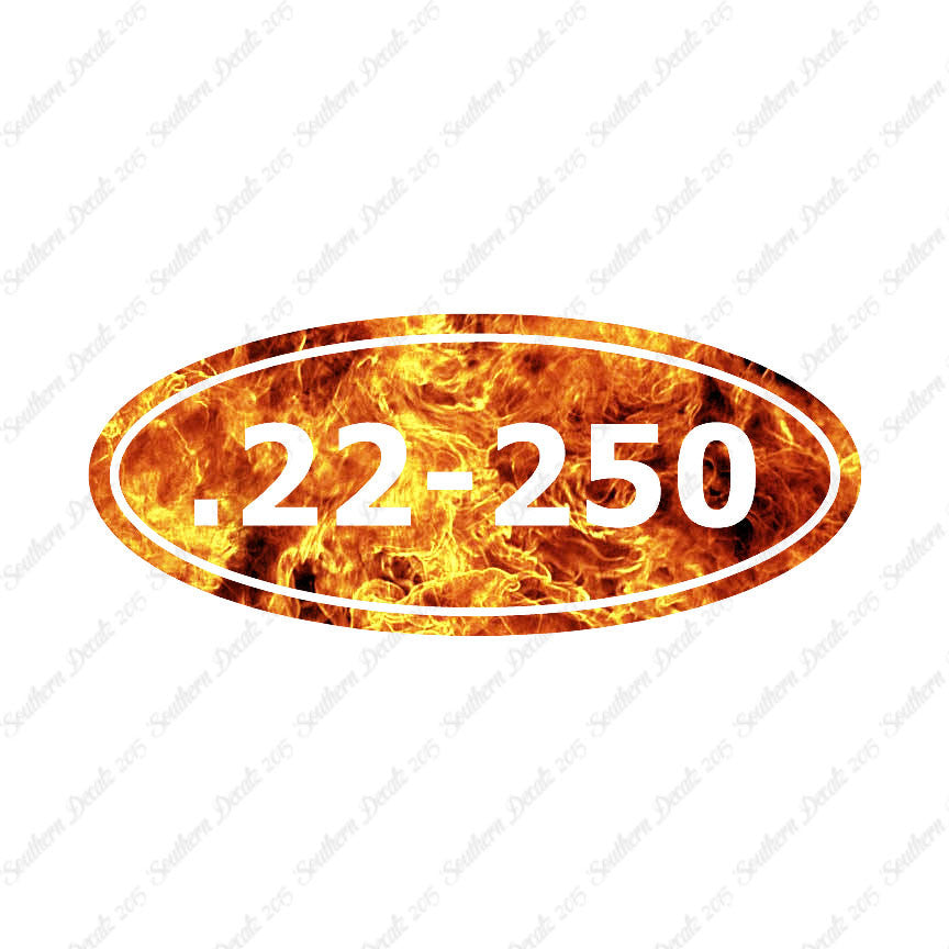 Ammo 22-250 Rifle