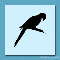 Macaw Parrot Bird