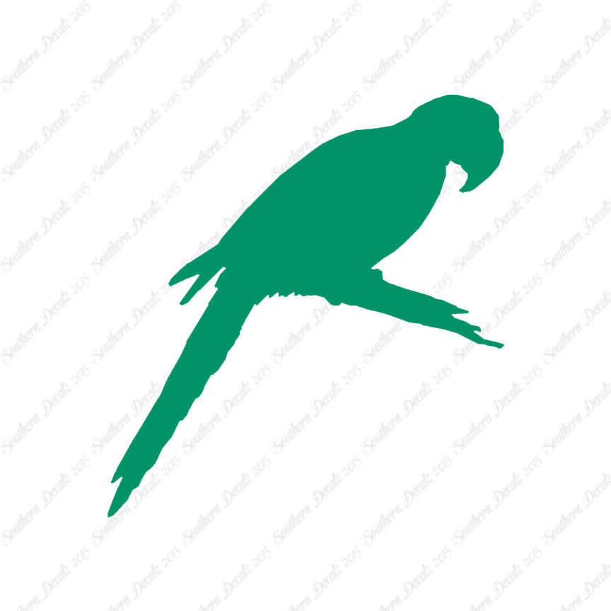Macaw Parrot Bird