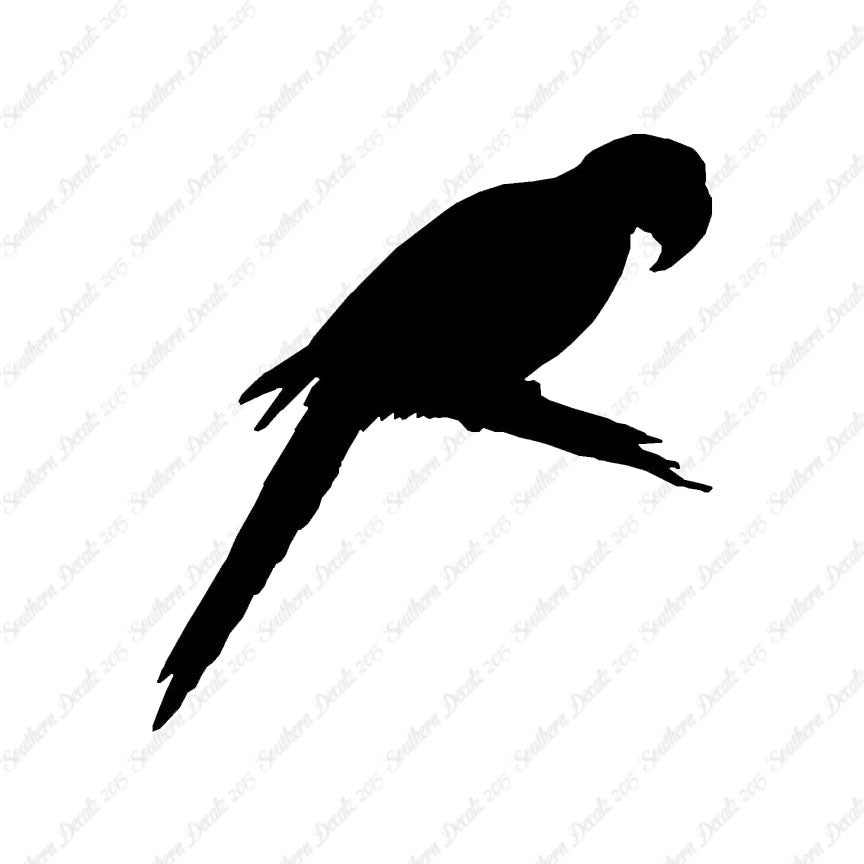 Macaw Parrot Bird