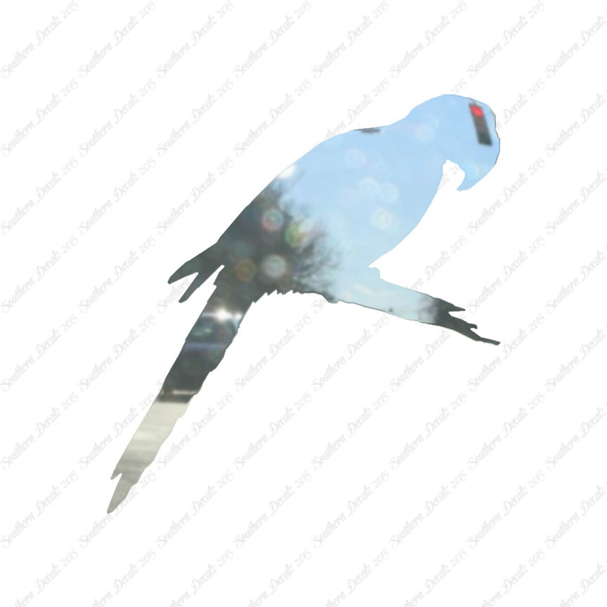 Macaw Parrot Bird