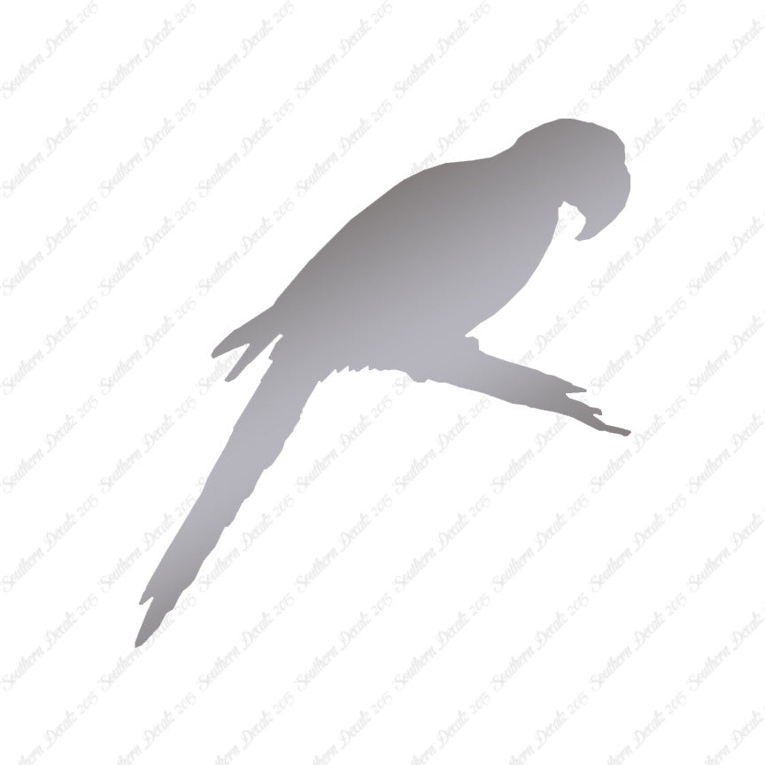 Macaw Parrot Bird