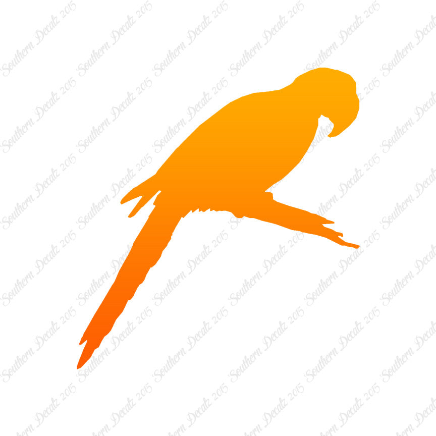 Macaw Parrot Bird