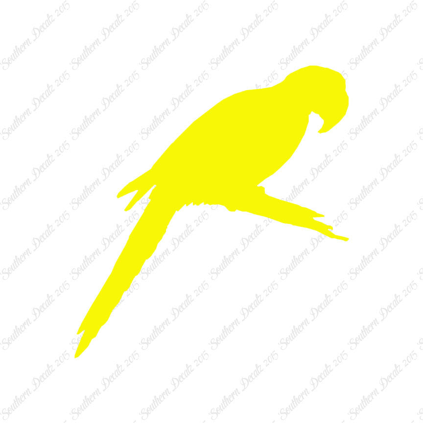 Macaw Parrot Bird
