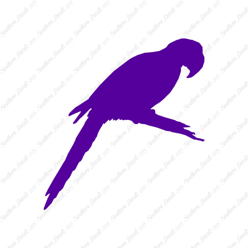 Macaw Parrot Bird