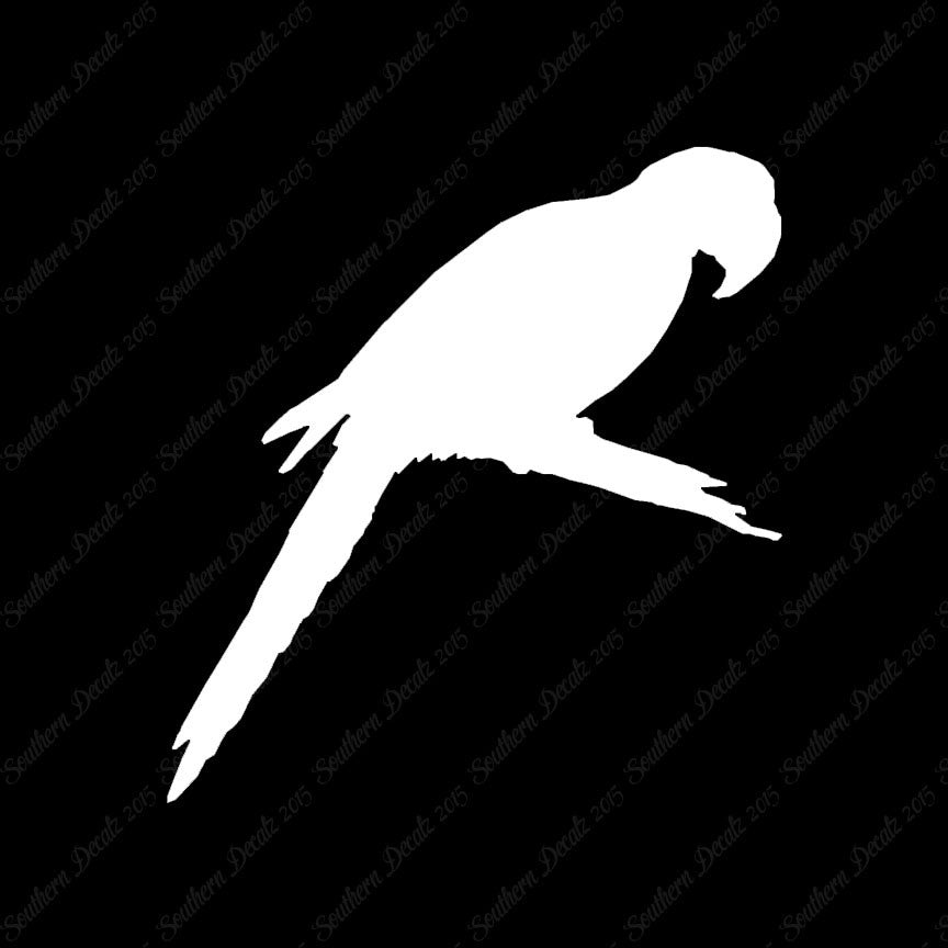 Macaw Parrot Bird