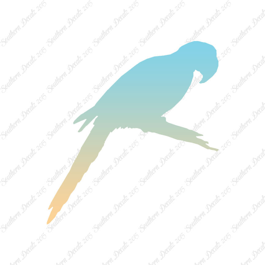 Macaw Parrot Bird