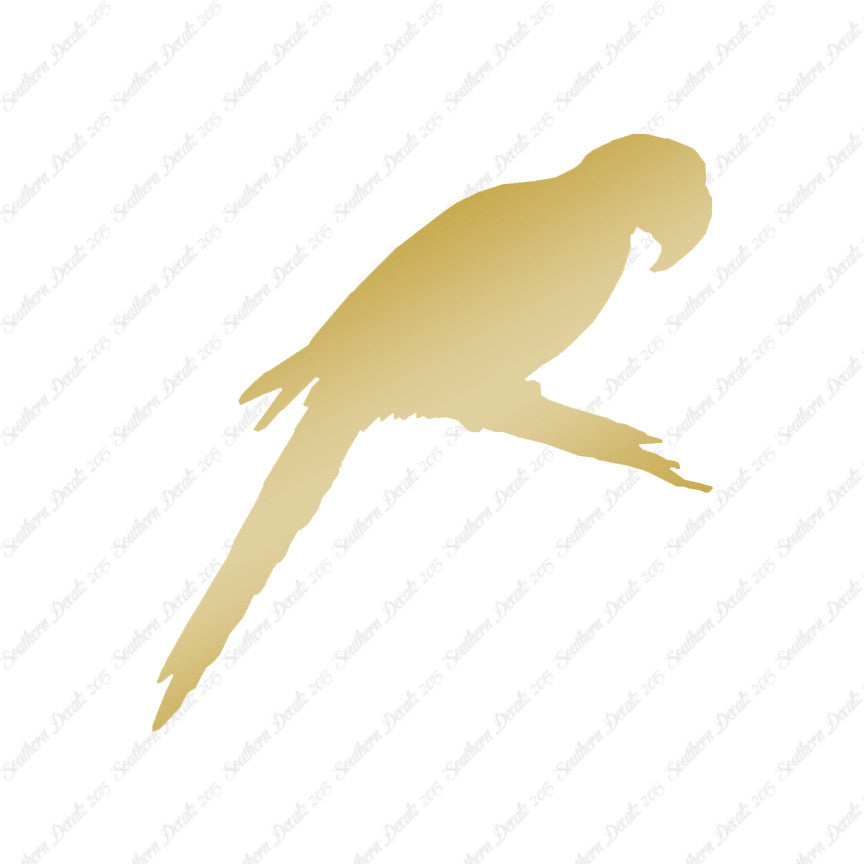 Macaw Parrot Bird