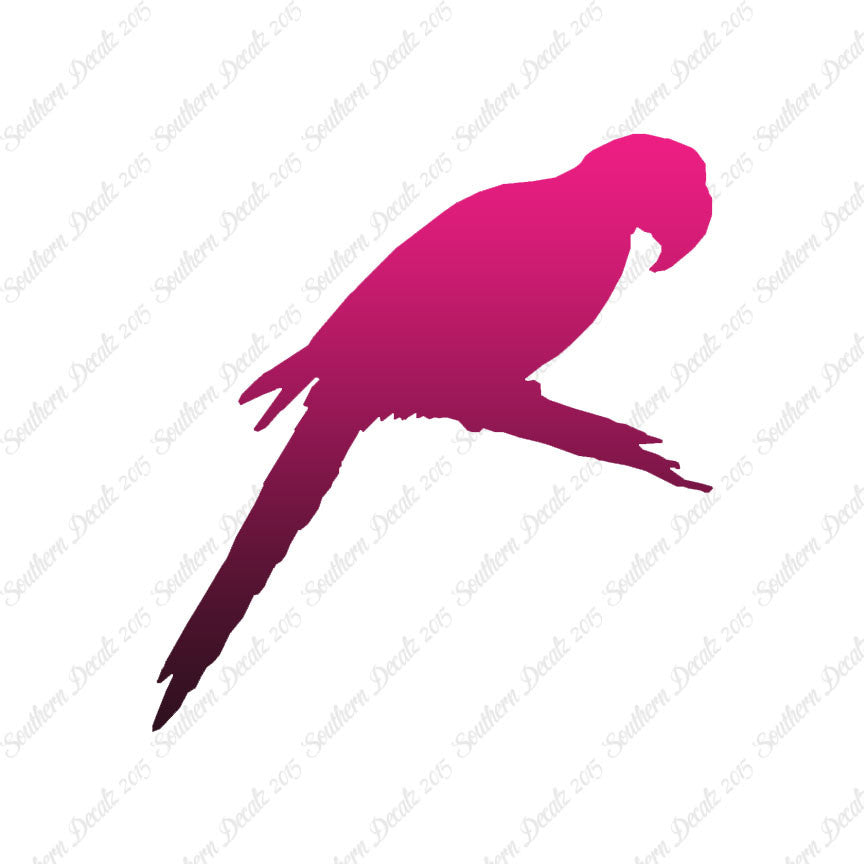 Macaw Parrot Bird