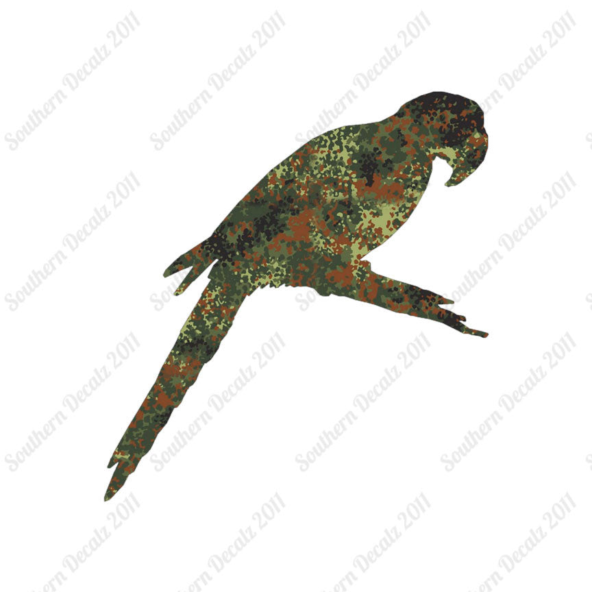 Macaw Parrot Bird