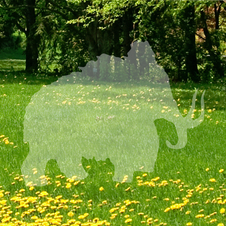 Mastodon Woolly Mammoth