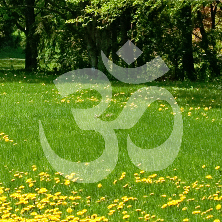 Meditation Aum Om