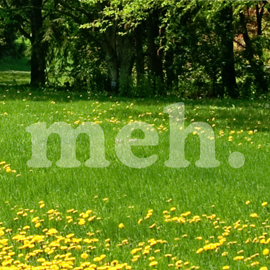 Meh