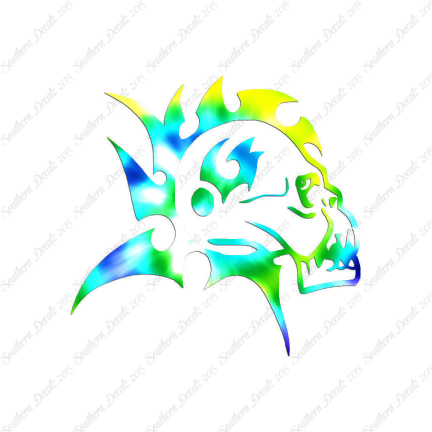 Mohawk Skull