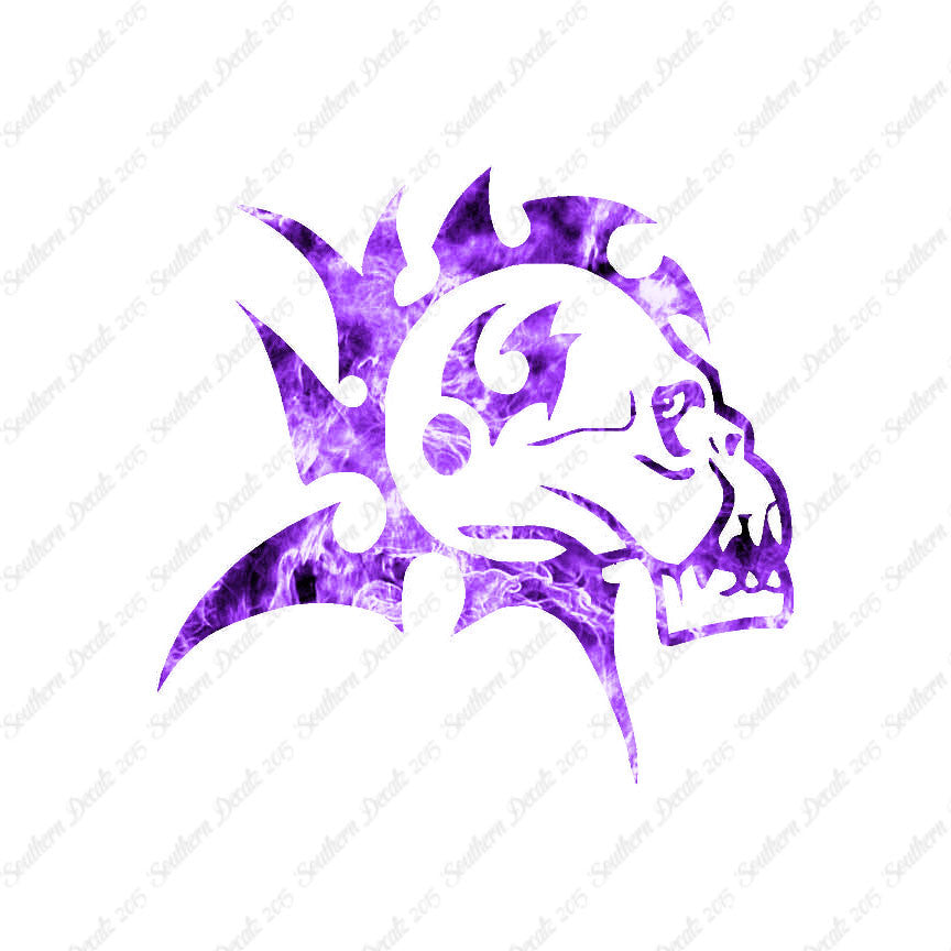 Mohawk Skull
