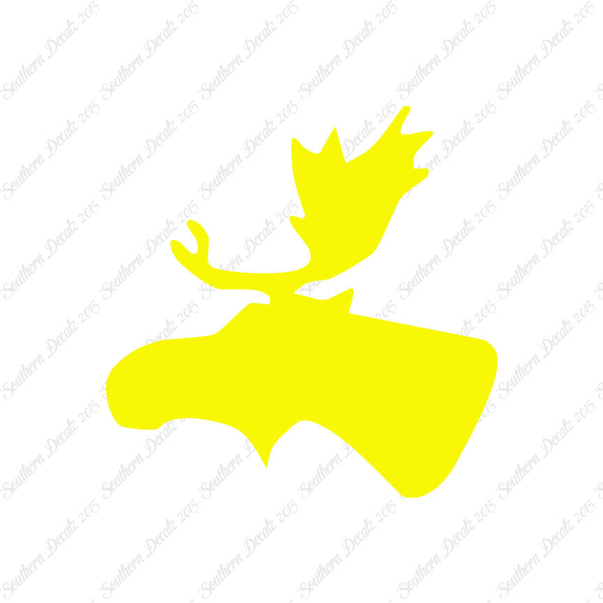 Moose Head Antler