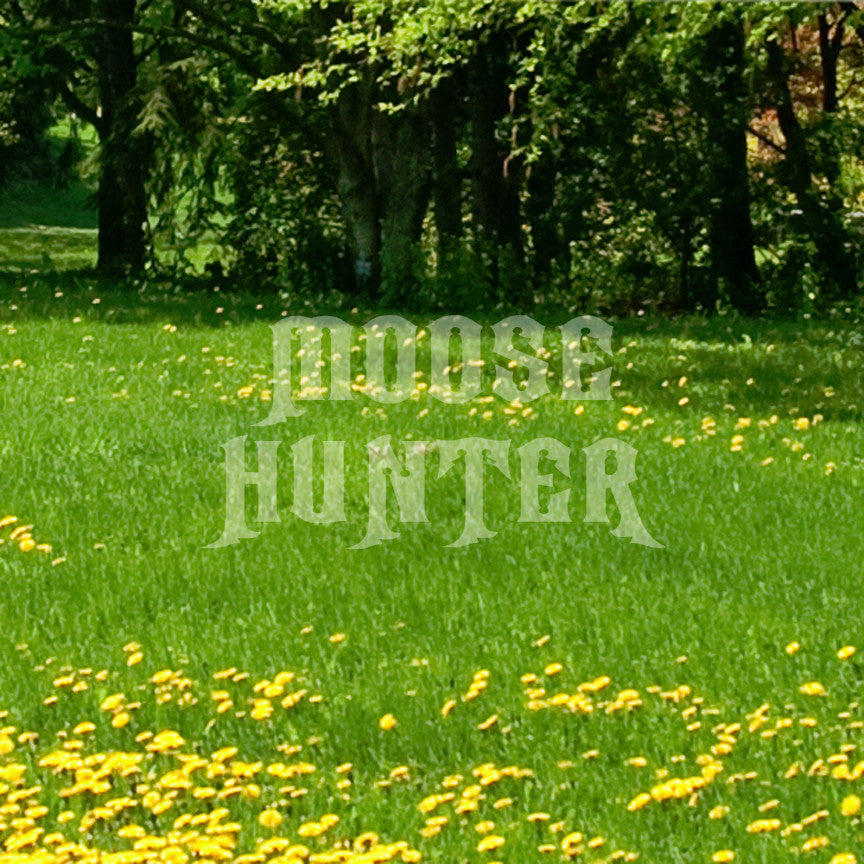 Moose Hunter Hunting